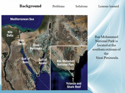 Ras Mohammed National Park, Egypt              A Comprehensive Approach