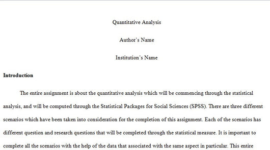 Quantitative Analysis, 3000 Words, Regression Analysis through SPSS~