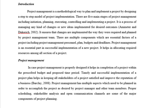 Project management planning