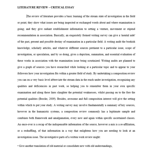 Literature Review - Critical Essay